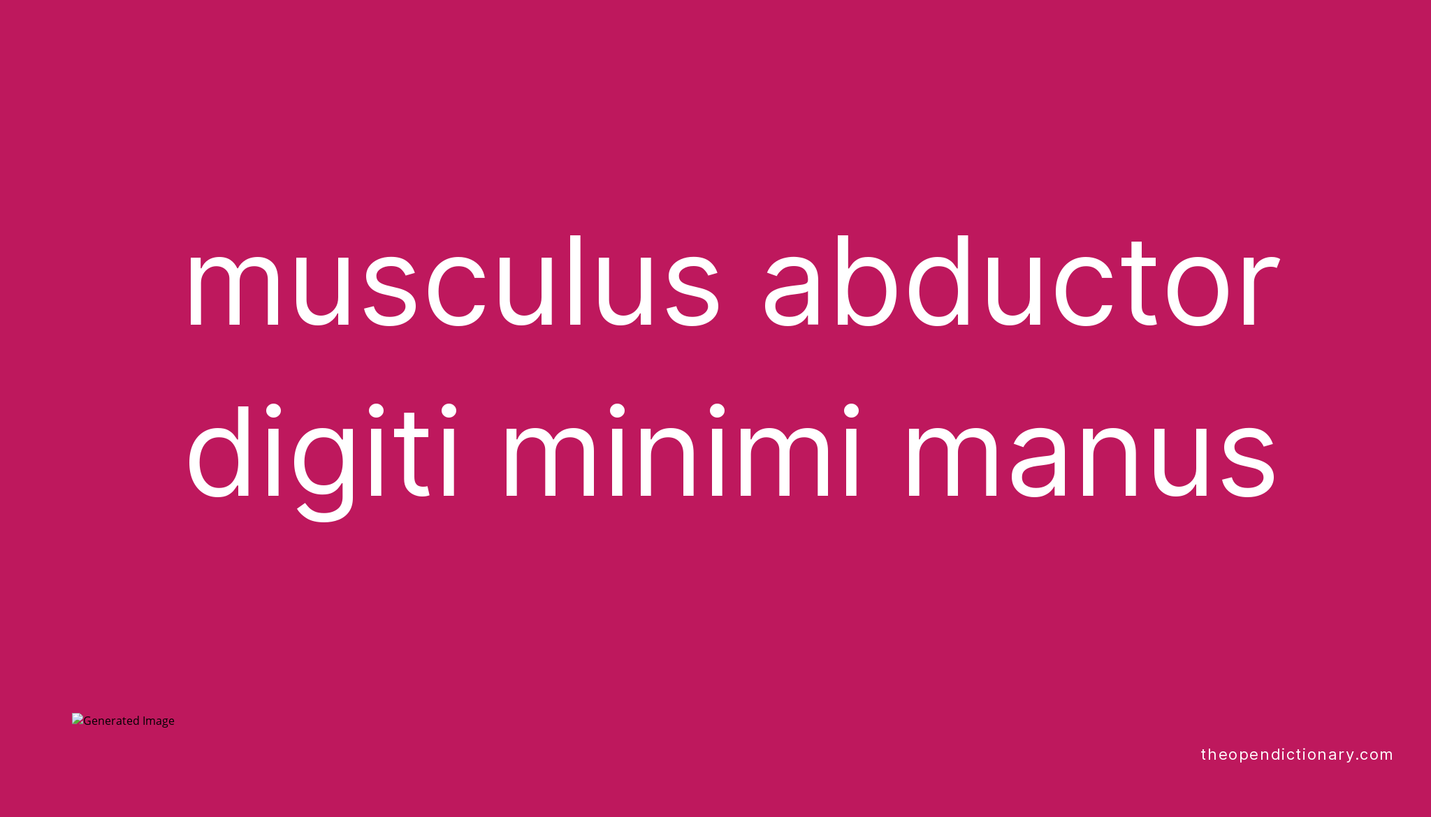 Musculus abductor digiti minimi manus Meaning of Musculus abductor